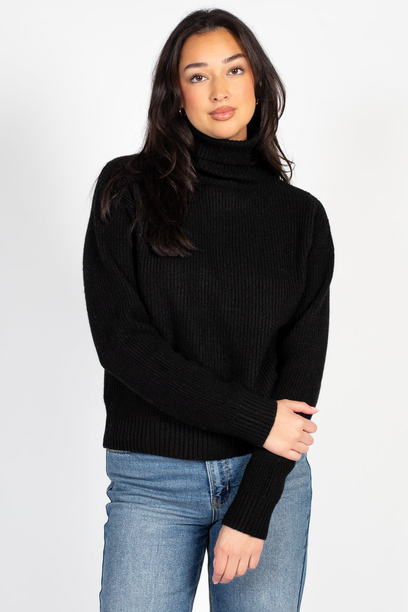 Celina Ribbed Turtleneck Sweater