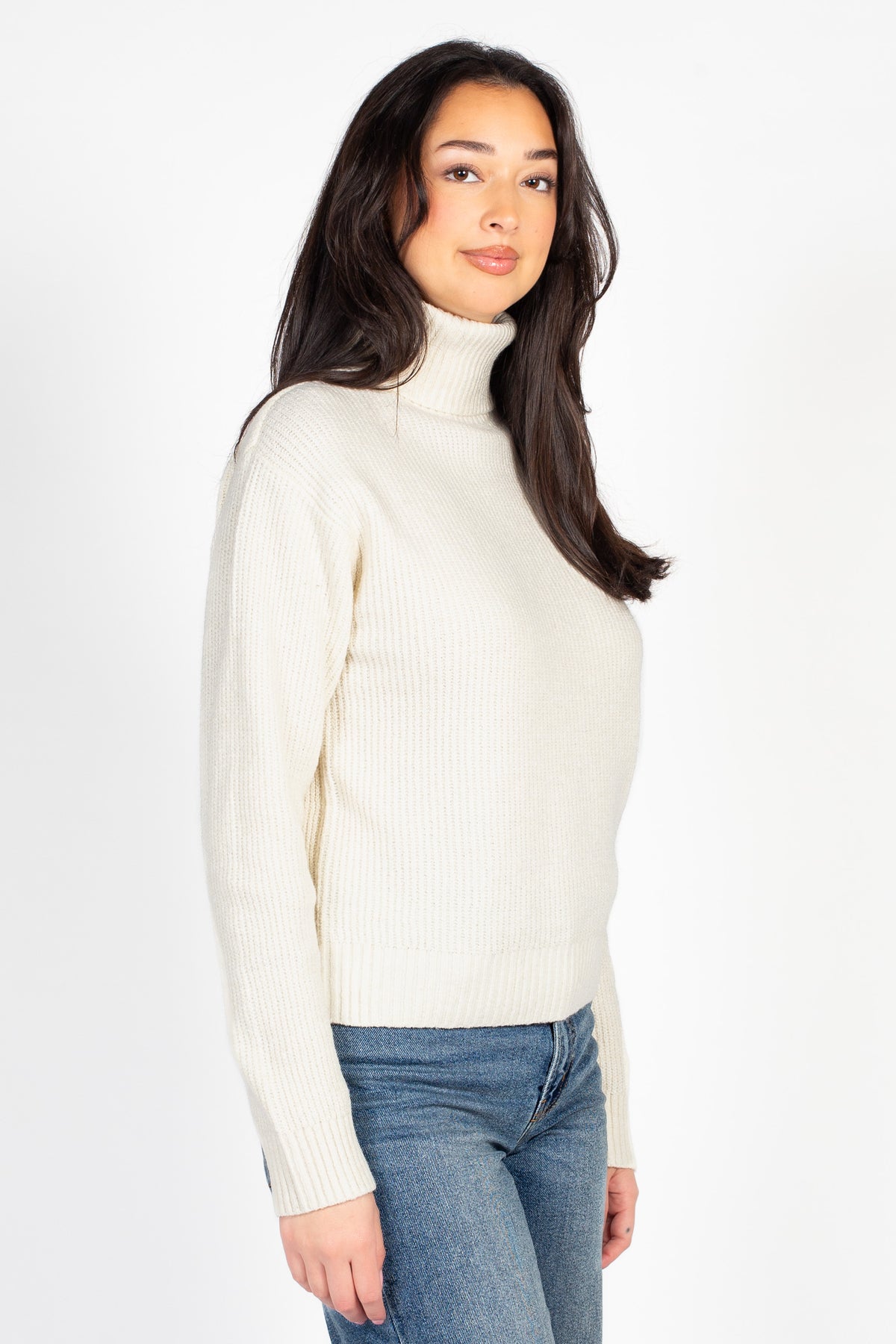 Celina Ribbed Turtleneck Sweater