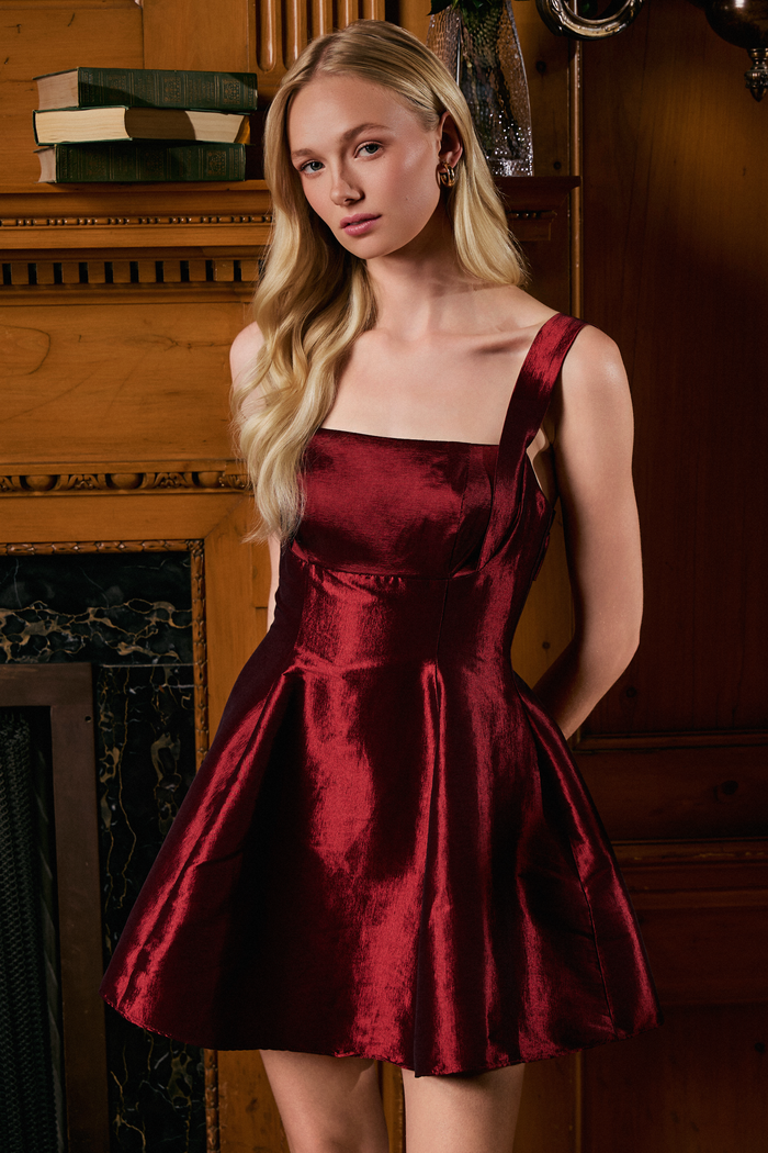 Louella Flare Mini Dress