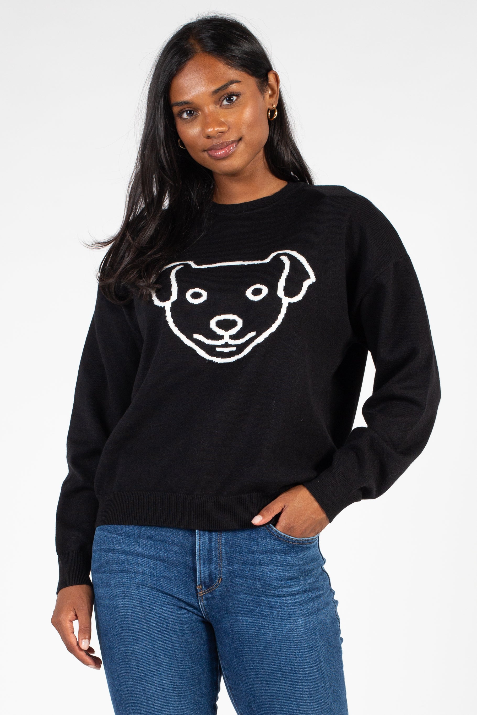 Pink Martini The Doggy Sweater