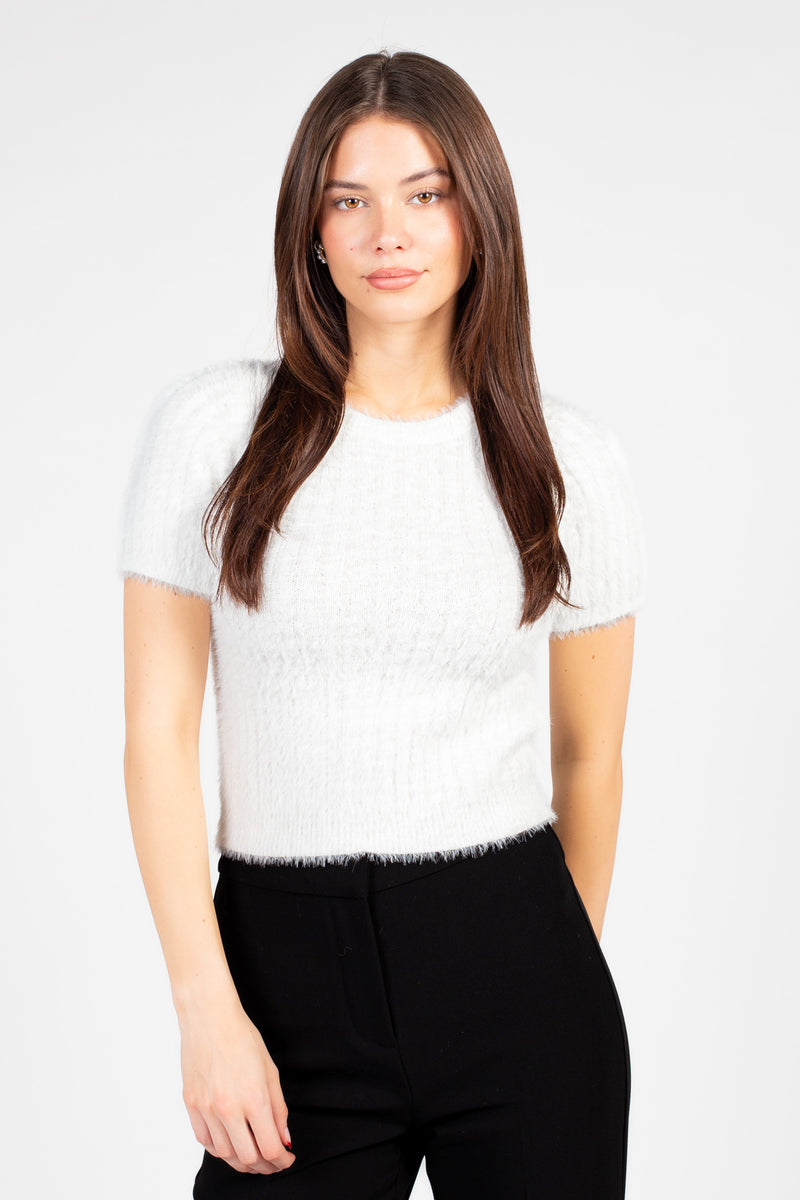 Audrey Fuzzy Short Sleeve Sweater