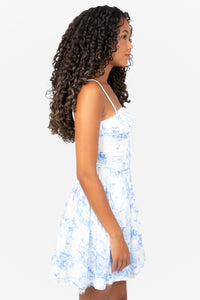 Provence Printed Mini Dress