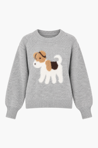 Winston Fuzzy Dog Sweater