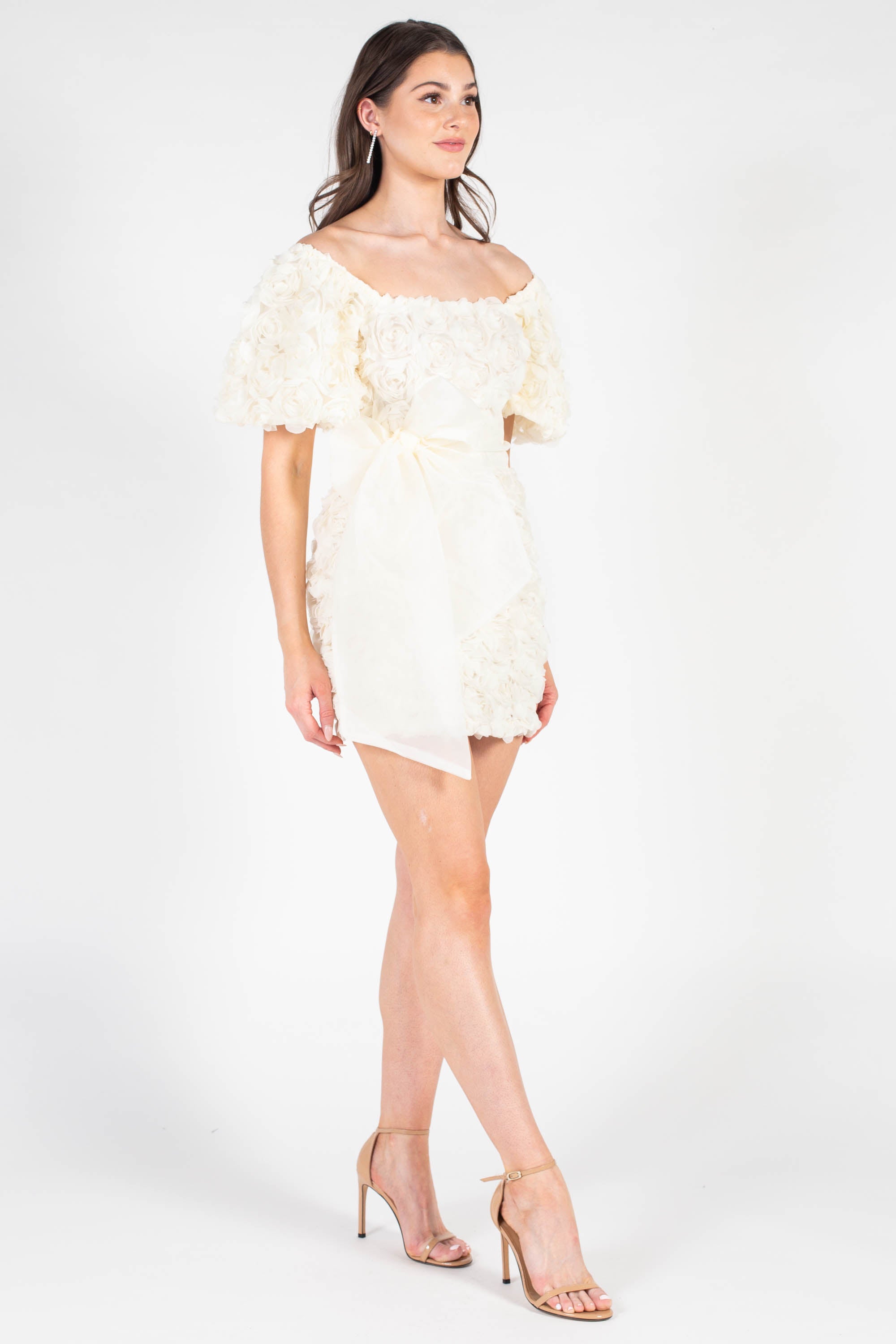 Stella Rosette A-Line Mini Dress